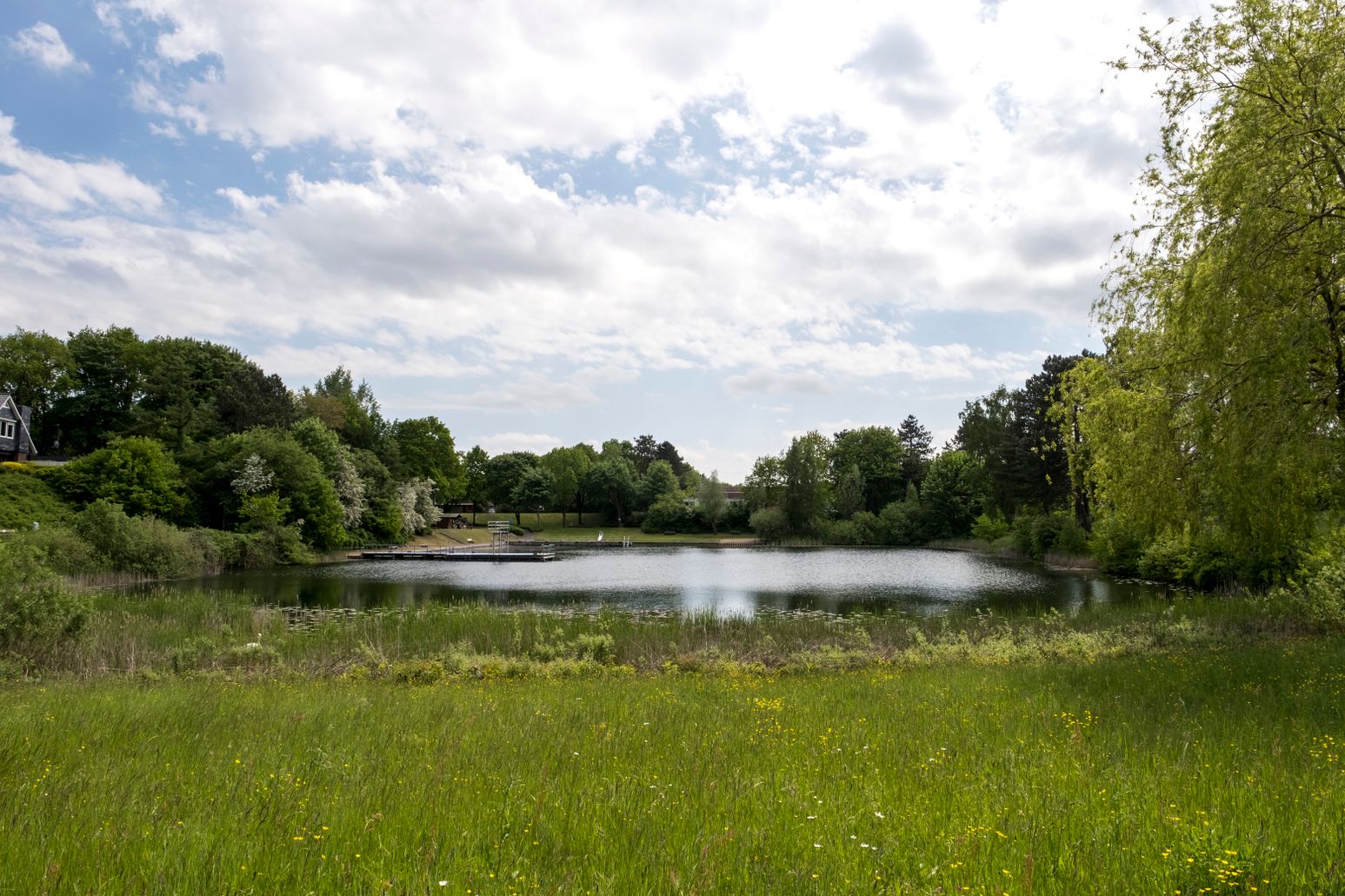 Ein idyllisches Naturfreibad mit einem ruhigen See, umgeben von grünen Bäumen und einer blühenden Wiese. Der Himmel ist leicht bewölkt.