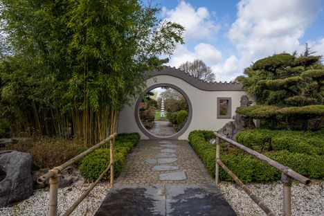 Chinesischer Garten mit beeindruckenden Pflanzen und Bäumen