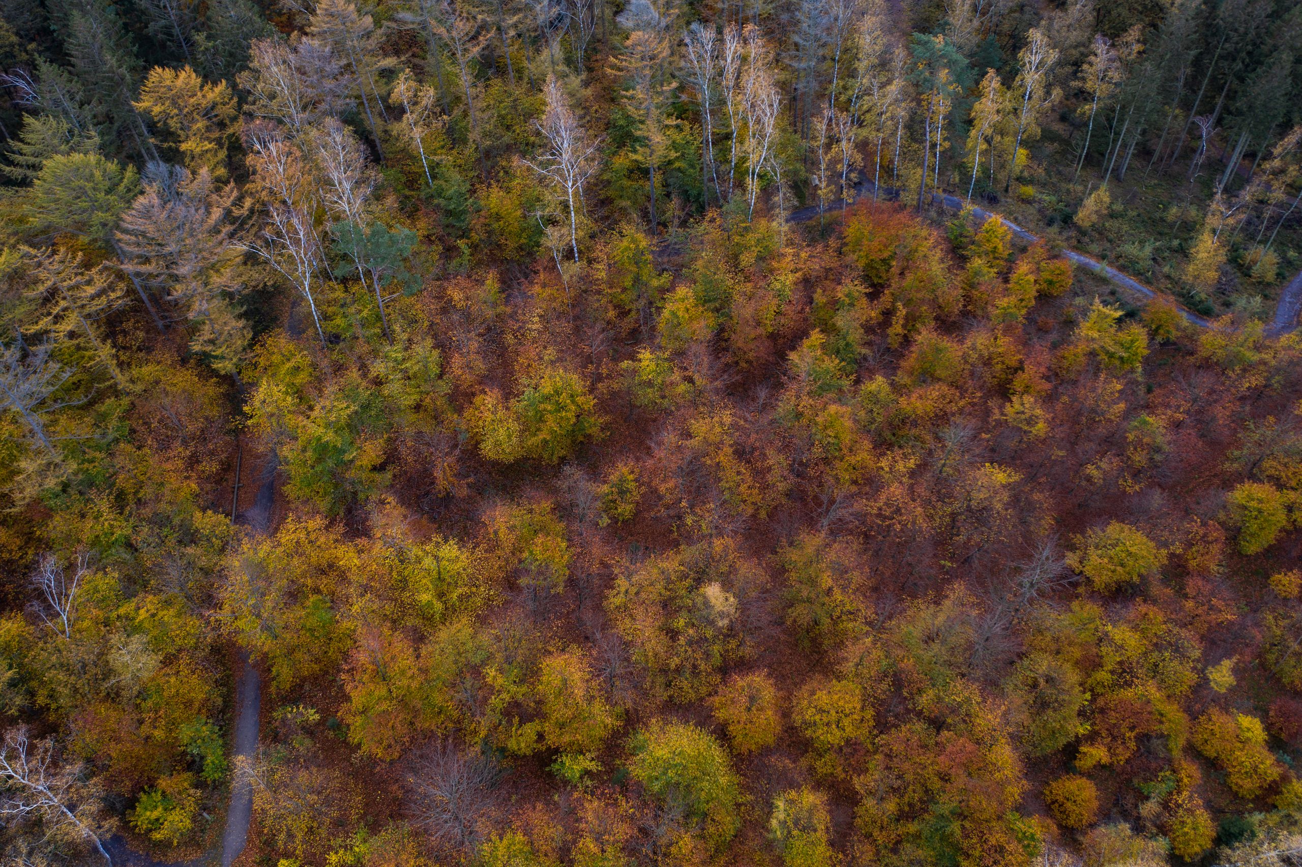 Naturpark Aukgrug aus der Luft