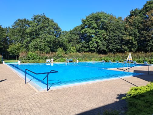 Ein leeres Freibad mit klarem Wasser, umgeben von grünen Bäumen und Sonnenschirmen. Der Himmel ist strahlend blau.
