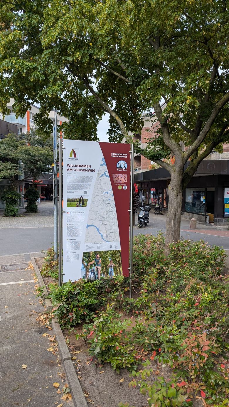 Eine Infotafel in Elmshorn informiert über den Ochsenweg. Es steht neben einem Baum und ist von Pflanzen umgeben.