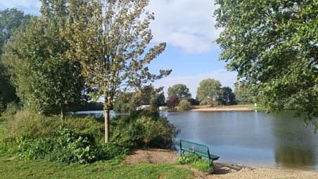 Ein idyllischer See mit grünen Bäumen und einer Bank am Ufer. Der Himmel ist blau mit einigen Wolken, die Umgebung wirkt friedlich und einladend.