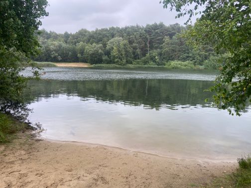 Ein ruhiger See mit sandigem Ufer, umgeben von dichtem Wald. Der Himmel ist bewölkt, was eine friedliche Atmosphäre schafft.