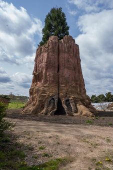 Beeindruckende Nachbildung des General Sherman Tree
