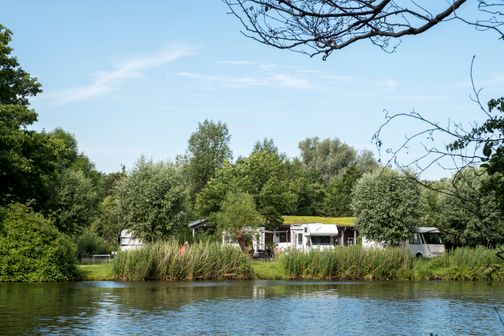Ein idyllischer Wohnmobilstellplatz am Flussufer, umgeben von üppigem Grün und Bäumen. Wohnmobile sind im Hintergrund zu sehen.