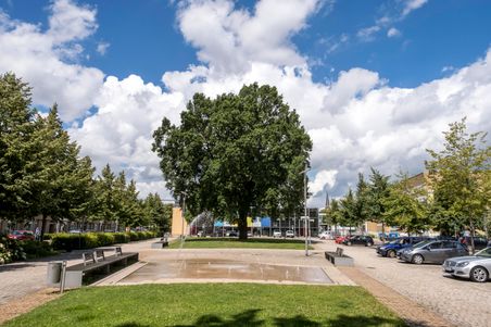 Öffentlicher Platz in Neumünster mit großem Baum, Bänken und parkenden Autos. Der Himmel ist blau mit weißen Wolken.