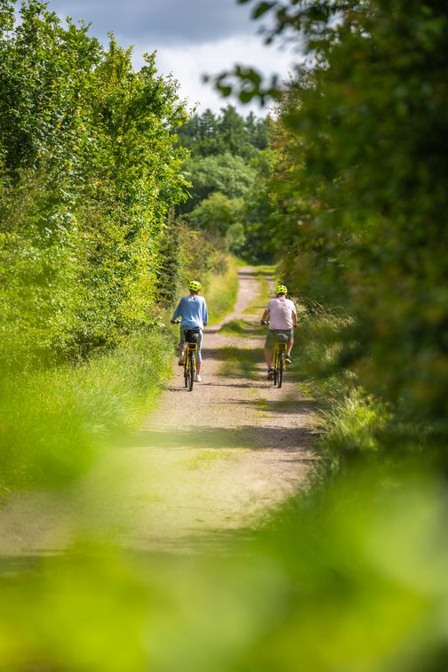 Zwei Radfahrer mit Helmen fahren auf einem schmalen, von Bäumen umgebenen Weg. Die Umgebung ist grün und idyllisch.
