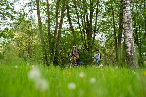 Radfahrer sind auf dem Ochsenweg unterwegs, im Vordergrund ist eine saftig grüne Wiese zu sehen.