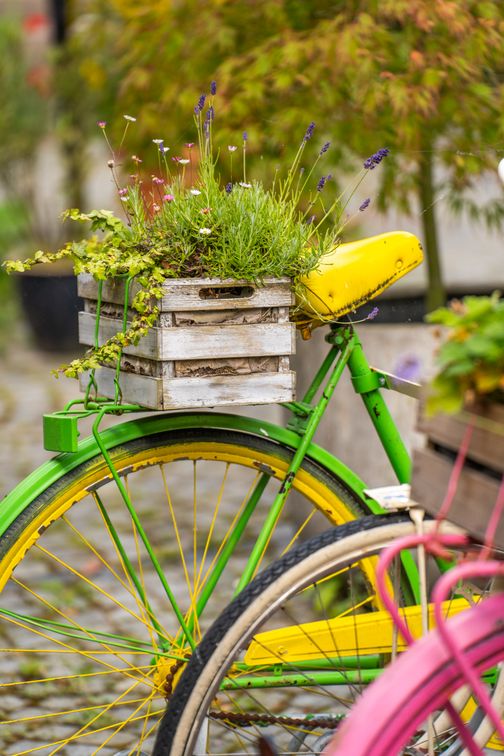 Ein grünes Fahrrad mit gelbem Sattel und Felgen trägt einen Blumenkasten voller Lavendel und anderer Pflanzen auf dem Gepäckträger.