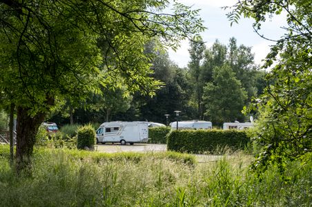 Wohnmobile stehen auf einem grünen Stellplatz, umgeben von üppiger Vegetation und Bäumen. Ein friedlicher Ort in der Natur.