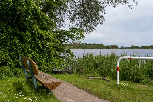 Holzbank am Armensee in Fockbek, umgeben von üppigem Grün und Schilf. Der See erstreckt sich im Hintergrund unter einem bewölkten Himmel.