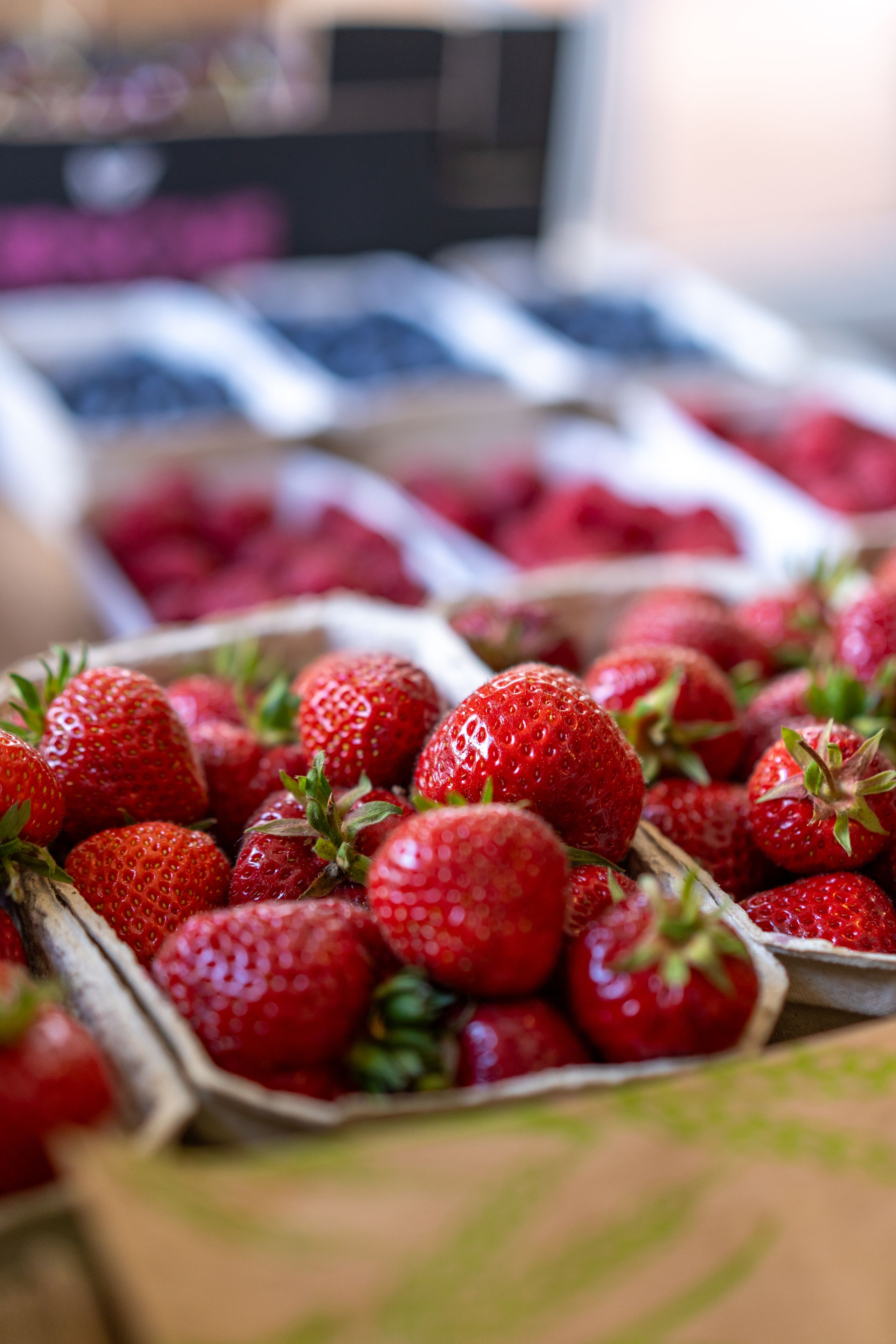 Frische Erdbeeren in einem Karton, im Vordergrund eines Marktstands. Im Hintergrund sind weitere Beeren in Schalen zu sehen.