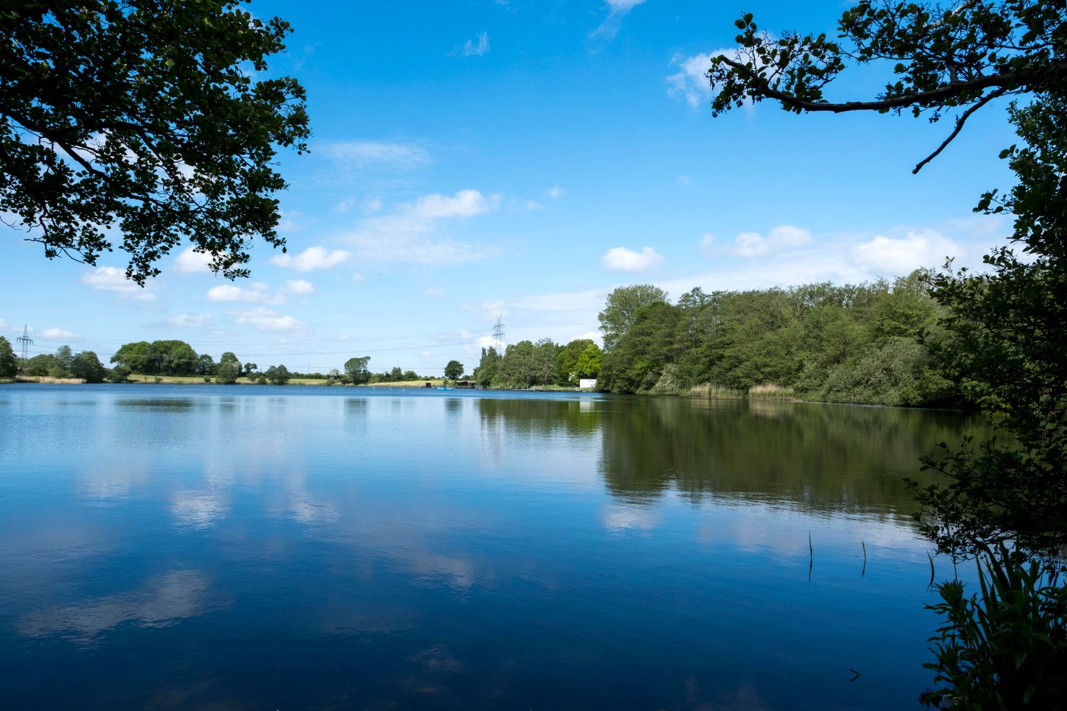 Ein idyllischer See mit klarem Wasser, umgeben von grünen Bäumen unter einem strahlend blauen Himmel.