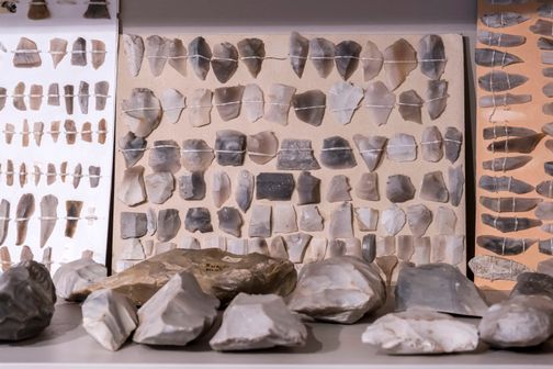 Eine Sammlung von prähistorischen Feuersteinen, die auf Karton montiert sind. Die Steine sind in Reihen angeordnet und zeigen verschiedene Formen und Größen.