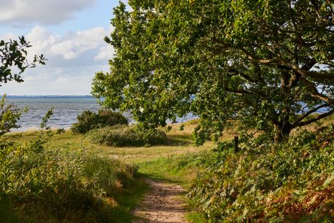 Naturpark Schlei