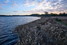 Blick auf das Selker Noor im Naturpark Schlei