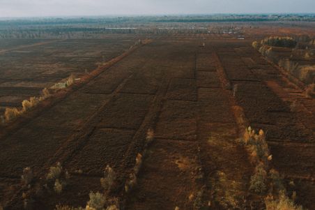 Weitläufiges Moorgebiet mit braunen und grünen Vegetationsflächen, aufgenommen aus der Luft. Der Horizont ist in der Ferne sichtbar.
