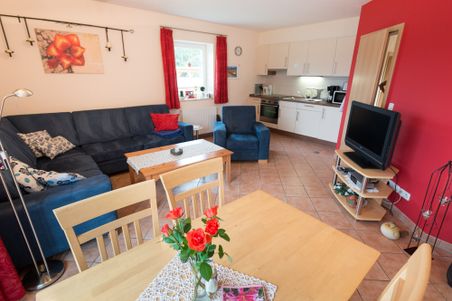 Gemütliches Wohnzimmer mit offener Küche, blauem Sofa, Sessel, Esstisch und roter Akzentwand.