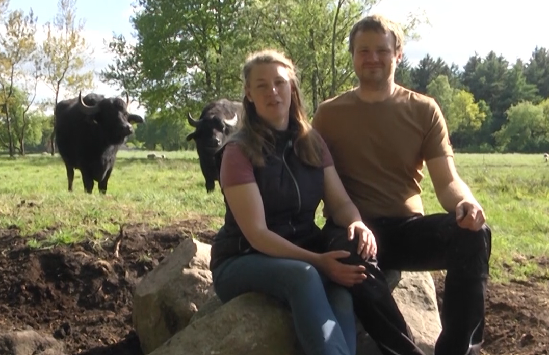 Die Betriebsleiter sitzen auf einem Felsen auf einer Wiese. Im Hintergrund sind zwei Wasserbüffel zu sehen. Die Szene wirkt ländlich und friedlich.