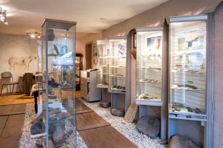 Ein Museumsraum mit Vitrinen, die archäologische Artefakte zeigen. Der Boden ist mit Kieselsteinen bedeckt, und an der Wand ist ein Tierbild zu sehen.
