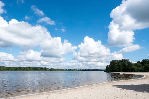 Ein Sandstrand am Einfelder See mit klarem Wasser und einem blauen Himmel voller weißer Wolken. Im Hintergrund sind Bäume zu sehen.