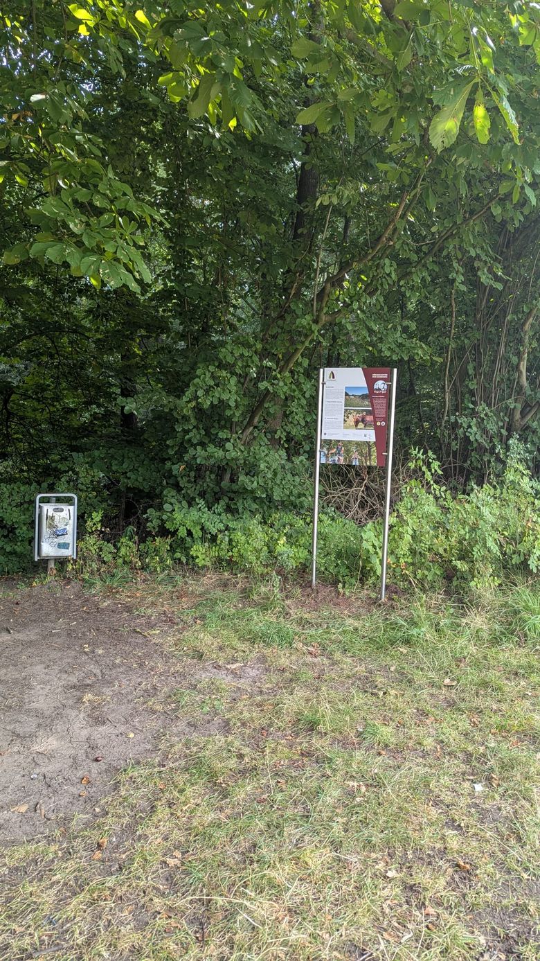 Eine Infotafel steht am Rand eines bewaldeten Gebiets. Das Schild enthält Informationen und Bilder zum Ochsenweg.