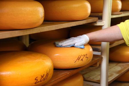 Käse-Reifung im Meierhof Möllgard