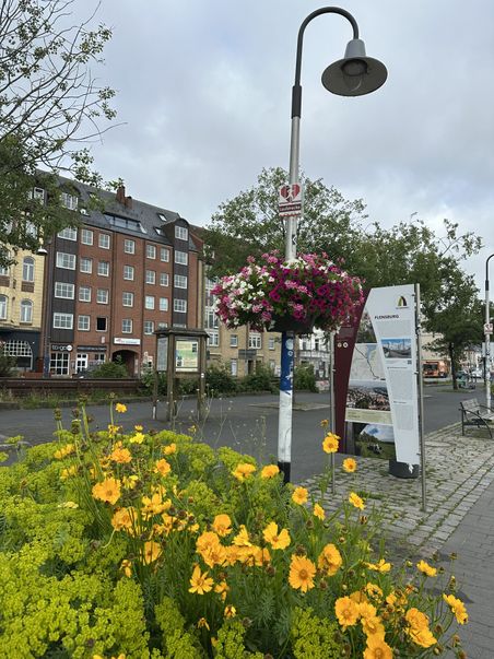 Ein Stadtplatz in Flensburg mit blühenden gelben und pinken Blumen unter einer Laterne. Im Hintergrund sind Gebäude und Infotafeln zu sehen.