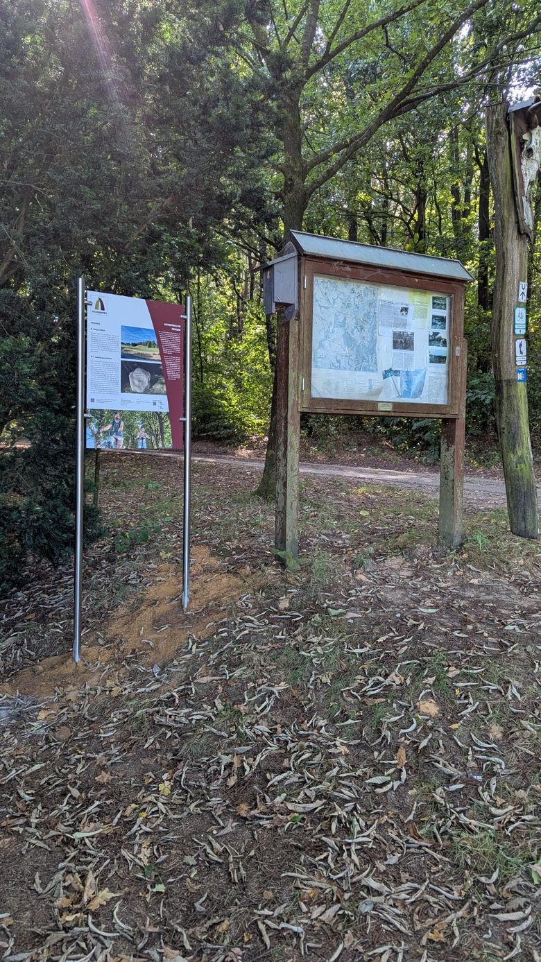 Ein Informationsschild und eine hölzerne Infotafel stehen nebeneinander in einem Waldgebiet. Die Tafeln bieten Informationen und Karten für Besucher zum Ochsenweg.