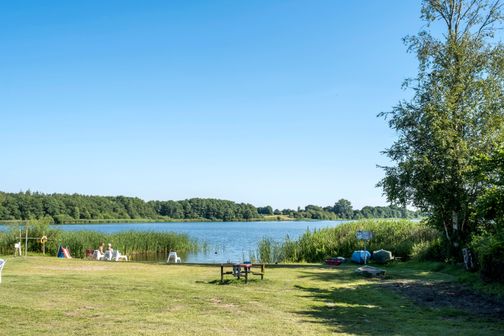 Badestelle am See mit Liegestühlen und Tisch auf einer Wiese, umgeben von Schilf und Bäumen unter klarem Himmel.