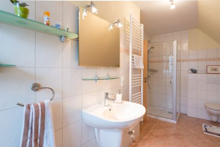 Helles Badezimmer mit Waschbecken, Spiegel, Dusche, Handtuchheizkörper und Toilette.