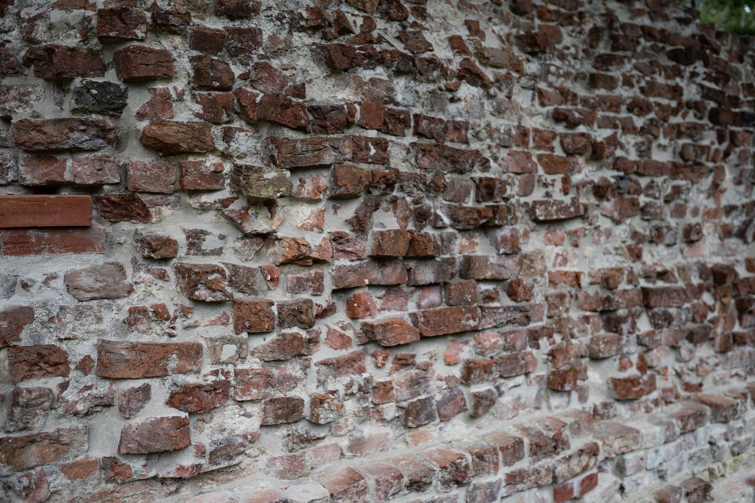 Waldermarsmauer bei Dannewerk (Teil der Wallanlage Dannewerk