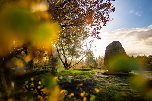 Höchster Punkt auf dem Boxberg im Naturpark Aukrug zur Herbstzeit.