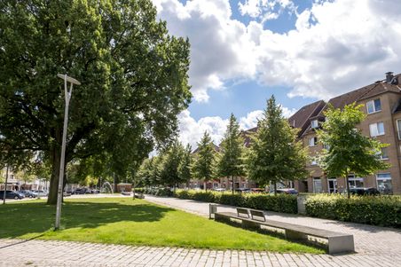 Ein grüner Park mit großen Bäumen, Bänken und einem gepflasterten Gehweg. Im Hintergrund sind Wohnhäuser und Autos zu sehen. Der Himmel ist bewölkt, aber sonnig.