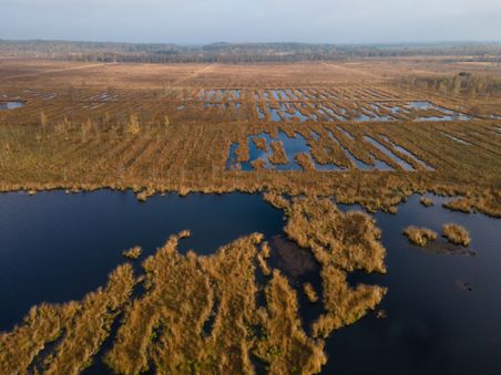 Luftaufnahme des Dosenmoors mit Wasserflächen und brauner Vegetation. Die Landschaft wirkt weitläufig und ruhig.