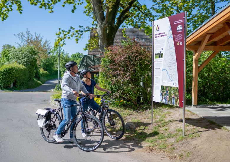 Zwei Radfahrer halten an einer Informationstafel am Ochsenweg. Sie tragen Helme und genießen das sonnige Wetter in einer grünen Umgebung.