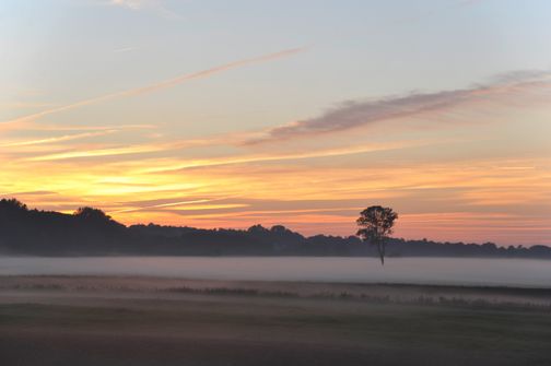 Sonnenaufgang an der Stör mit Nebel. Kreis Steinburg