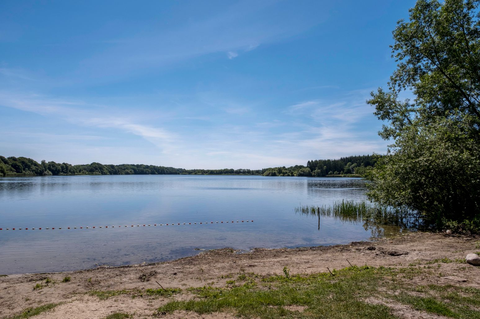 Ein ruhiger See mit sandigem Ufer und Bäumen im Hintergrund. Der Himmel ist klar und blau, ideal für einen entspannten Tag am Wasser.