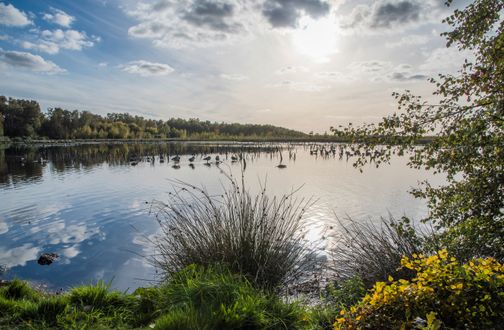 Blick auf das Himmelmoor bei Hemdingen