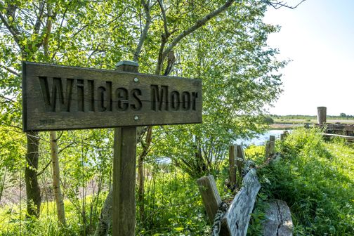 Ein Holzschild mit der Aufschrift 'Wildes Moor' steht vor einer grünen, bewachsenen Landschaft mit Bäumen und einem Fluss im Hintergrund.