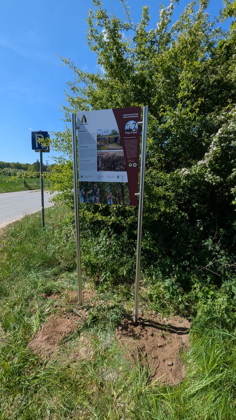 Ein Informationsschild am Straßenrand informiert über den Ochsenweg. Es steht in einer grünen Umgebung mit Bäumen und Gras.