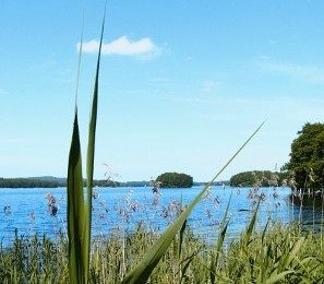 See am Seehotel Töpferhaus