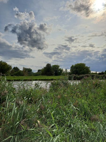 Ein Fluss fließt durch eine grüne Landschaft mit hohem Gras und Bäumen. Der Himmel ist bewölkt, die Sonne scheint durch die Wolken.