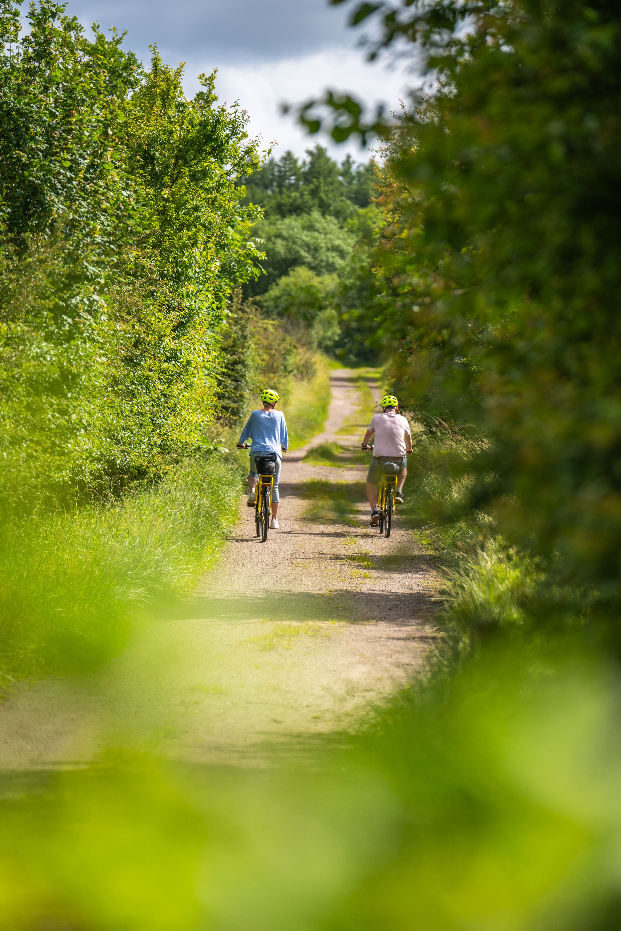 Zwei Radfahrer mit Helmen fahren auf einem schmalen, von Bäumen umgebenen Weg. Die Umgebung ist grün und idyllisch.