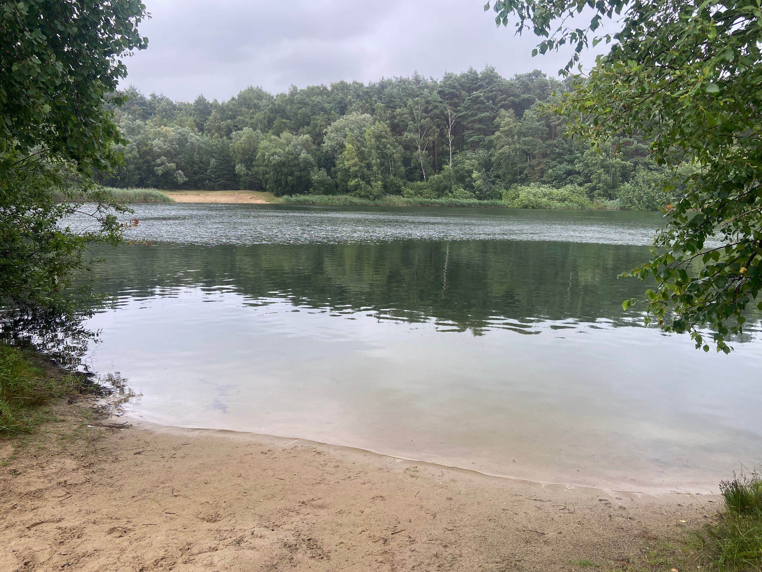 Ein ruhiger See mit sandigem Ufer, umgeben von dichtem Wald. Der Himmel ist bewölkt, was eine friedliche Atmosphäre schafft.