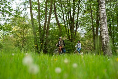 Radfahrer sind auf dem Ochsenweg unterwegs, im Vordergrund ist eine saftig grüne Wiese zu sehen.