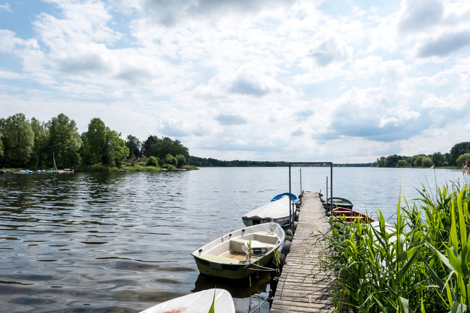 Ein Holzsteg mit Booten am Ufer eines Sees, umgeben von Bäumen und Schilf. Der Himmel ist bewölkt und die Landschaft wirkt ruhig und idyllisch.