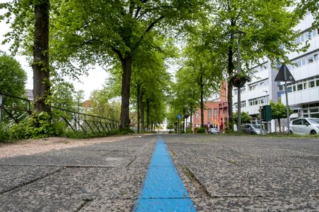 Ein blauer Streifen zieht sich über einen gepflasterten Weg in Rendsburg, gesäumt von Bäumen und modernen Gebäuden.