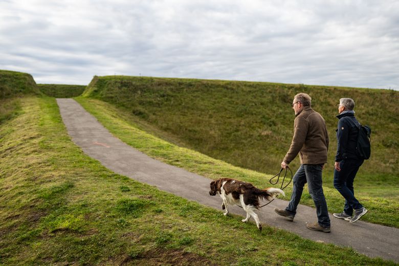 Zwei Personen und ein Hund spazieren am Danewerk.