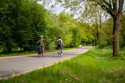 Radfahren am Ochsenweg